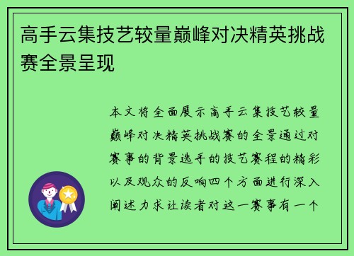 高手云集技艺较量巅峰对决精英挑战赛全景呈现