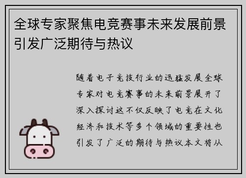 全球专家聚焦电竞赛事未来发展前景引发广泛期待与热议