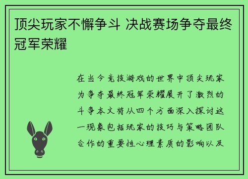 顶尖玩家不懈争斗 决战赛场争夺最终冠军荣耀