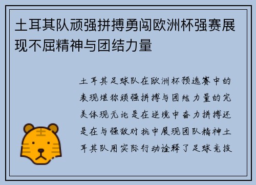 土耳其队顽强拼搏勇闯欧洲杯强赛展现不屈精神与团结力量