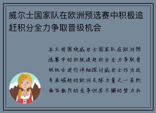 威尔士国家队在欧洲预选赛中积极追赶积分全力争取晋级机会