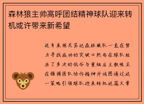 森林狼主帅高呼团结精神球队迎来转机或许带来新希望