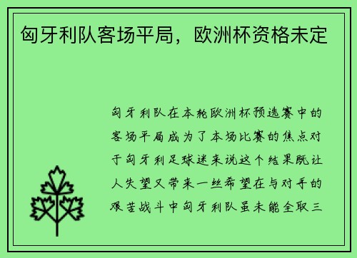 匈牙利队客场平局，欧洲杯资格未定