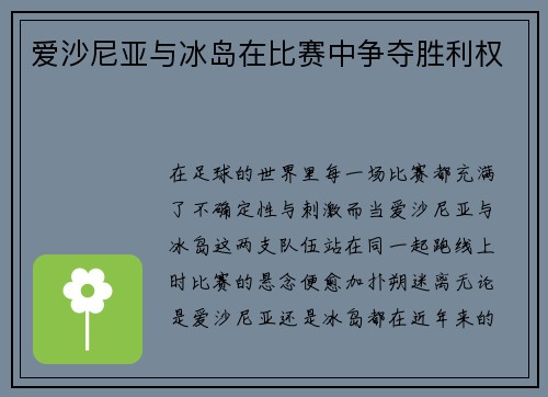 爱沙尼亚与冰岛在比赛中争夺胜利权