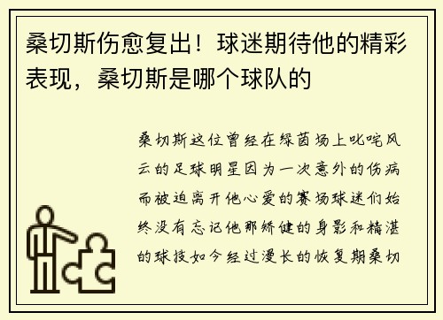 桑切斯伤愈复出！球迷期待他的精彩表现，桑切斯是哪个球队的